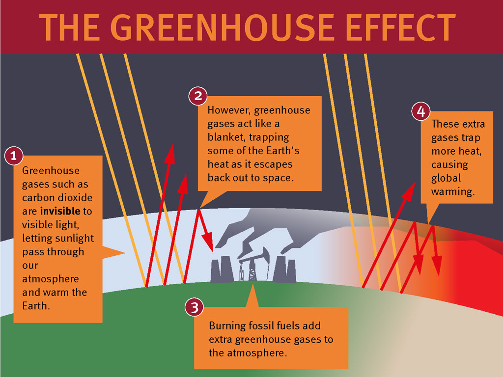 greenhouse effect