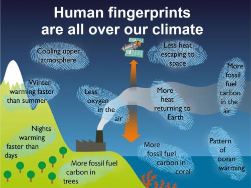 Резюме данных наблюдений о том, что выбросы углекислого газа человеком вызывают потепление климата.