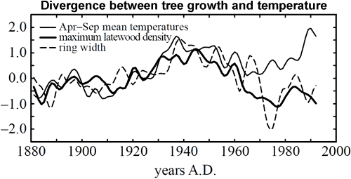 Divergence_Tree_Growth_Temp.gif