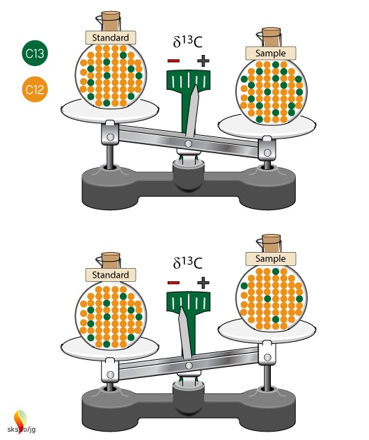 Delta notation scale