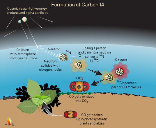 fun facts about carbon dating